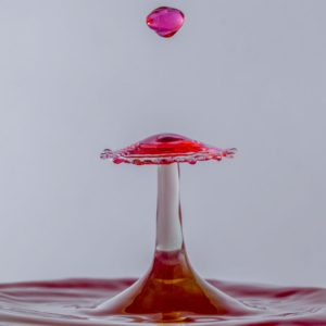 _CJO3297_2 kopie