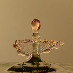 _CJO3313_2 kopie